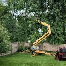 Best Utility Line Clearance  in Wheatley Heights, NY