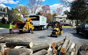 Best Tree Risk Assessment  in Wheatley Heights, NY