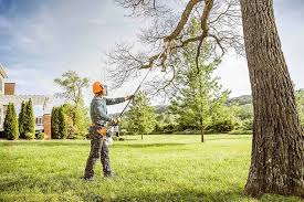 Best Tree Cabling and Bracing  in Wheatley Heights, NY