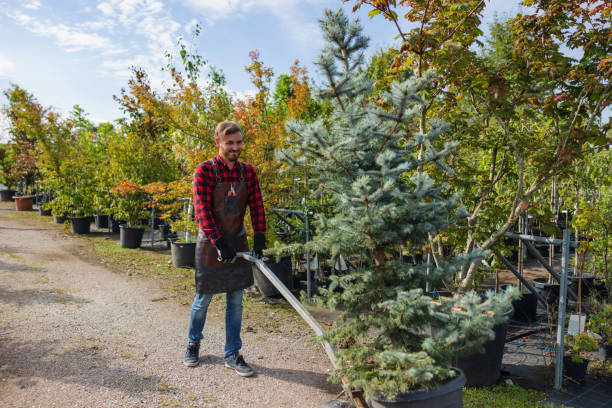  Wheatley Heights, NY Tree Services Pros